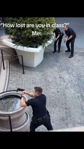 bb4b7e33b100445d747c93a609d9c277.gif