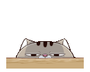 cxZfzcp.gif