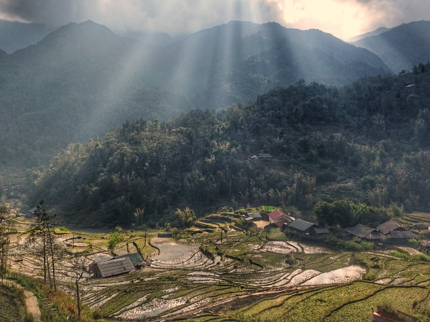 nAMsyA5.jpg