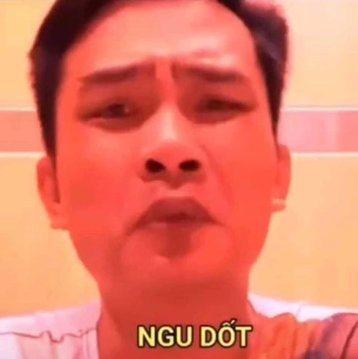 meme-ngu-011.webp