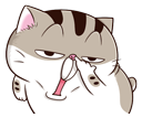 hc2PpCS.png