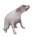 BOyg83p.gif