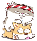ryT97Ov.png