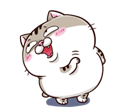 2q3WT49.png