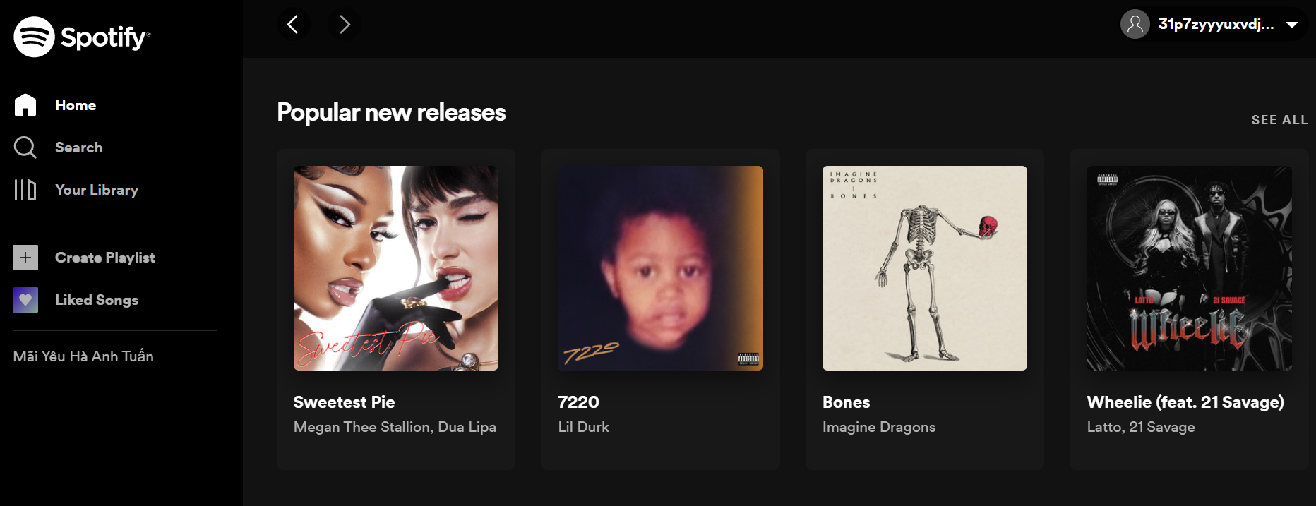 Spotify-New-one.png