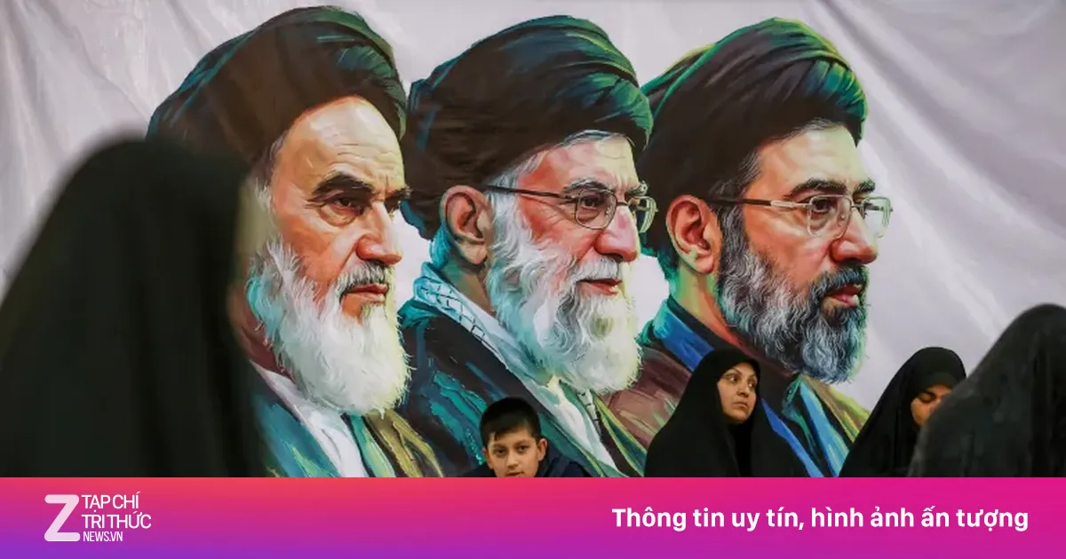 znews.vn