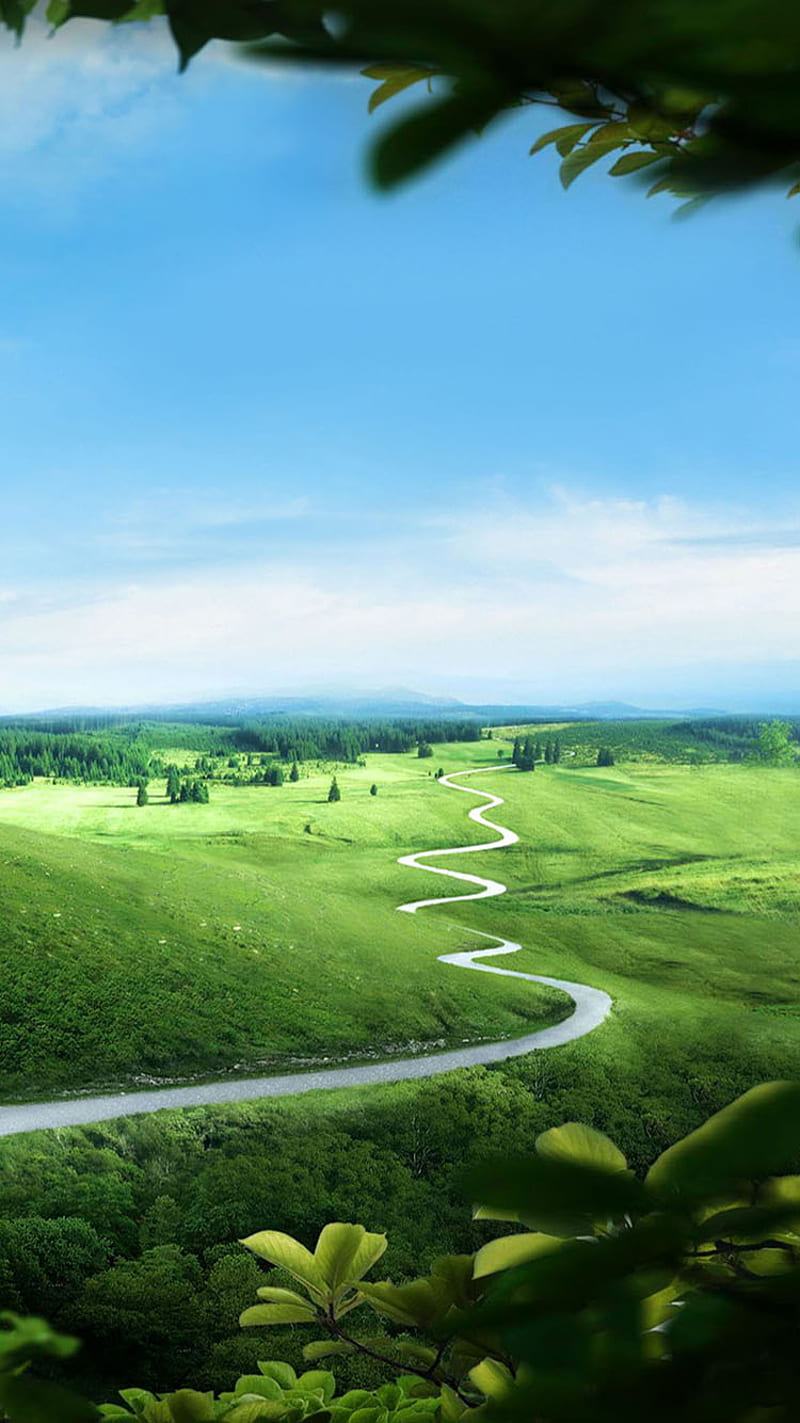 HD-wallpaper-path-walk-way.jpg