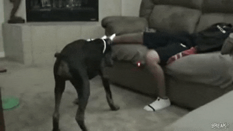 cheeryremotedoe-size_restricted-gif.8042