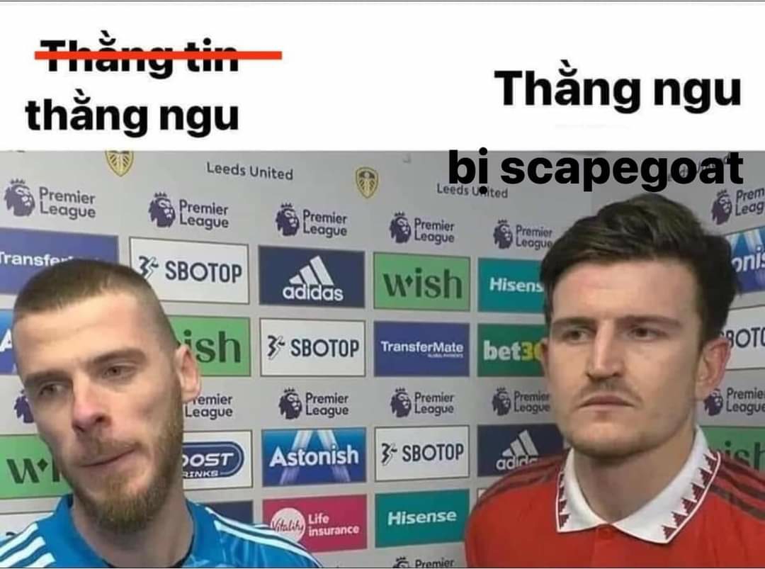 aJmmlfZ.jpg