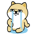 DgItaif.png