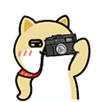 g7q4BIq.png