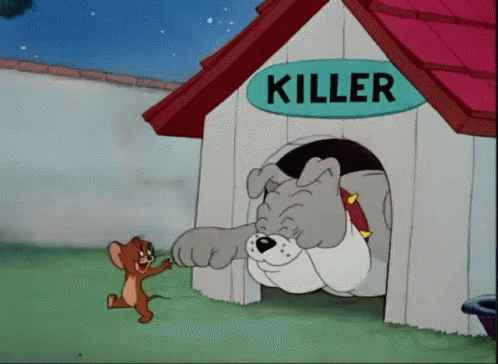 dfd799555476a4adcba053af46a886ba.gif