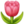 🌷