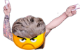 RZ66Lvo.png