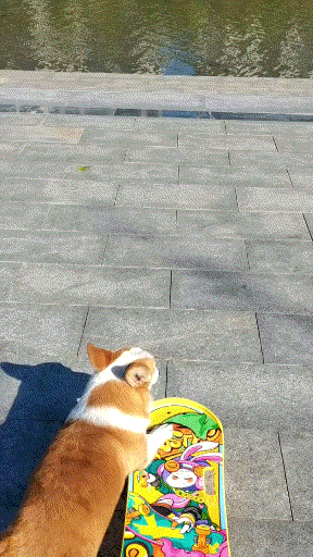 d4cecf51dd115a5b84ec689a4be8ce9a.gif