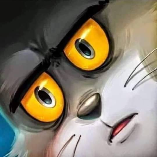 0eYT0d5.png