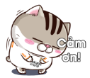 T3ooxkD.png