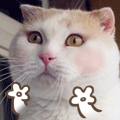 5RZgIQv.gif