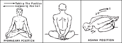 Yoga-Mudra-Asana.jpg