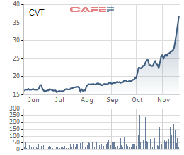 Lộ diện cổ đông lớn thâu tóm, cổ phiếu CVT liên tiếp tăng trần trong tháng 11 - Ảnh 2.