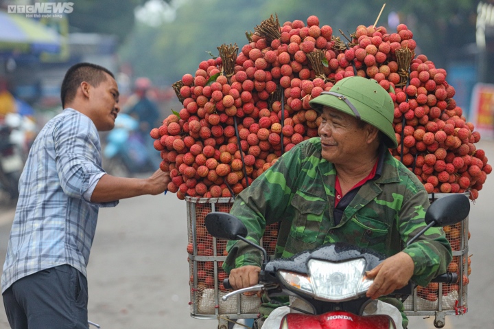 Bắc Giang: Nông dân ào ạt thồ vải thiều đi cân bán, phố phường được nhuộm đỏ ối - 6