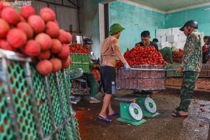 Bắc Giang: Nông dân ào ạt thồ vải thiều đi cân bán, phố phường được nhuộm đỏ ối - 9