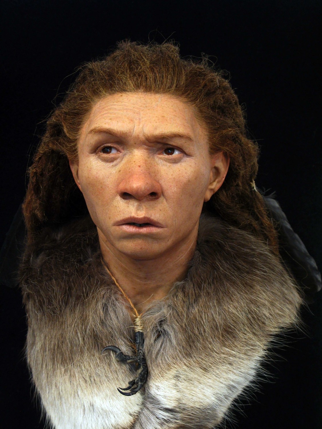 Faces Re-Created of Ancient Europeans, Including Neanderthal Woman and  Cro-Magnon Man | Live Science