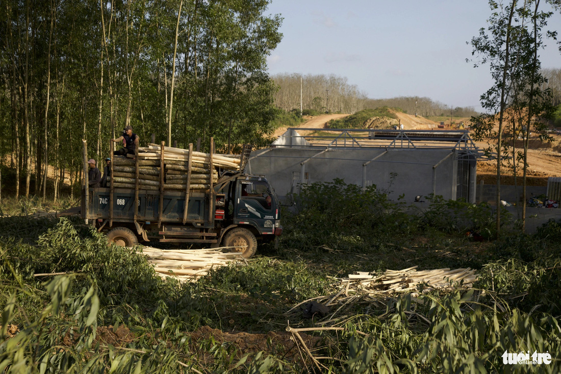 Một hộ dân tự nguyện tháo dỡ lán trại ở xã Vĩnh Khê - Ảnh: HOÀNG TÁO