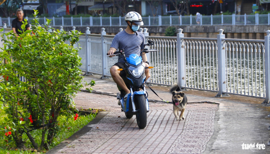 Một người dân vừa chạy xe điện vừa dắt chó tại lối đi bộ, chạy bộ - Ảnh: TIẾN QUỐC