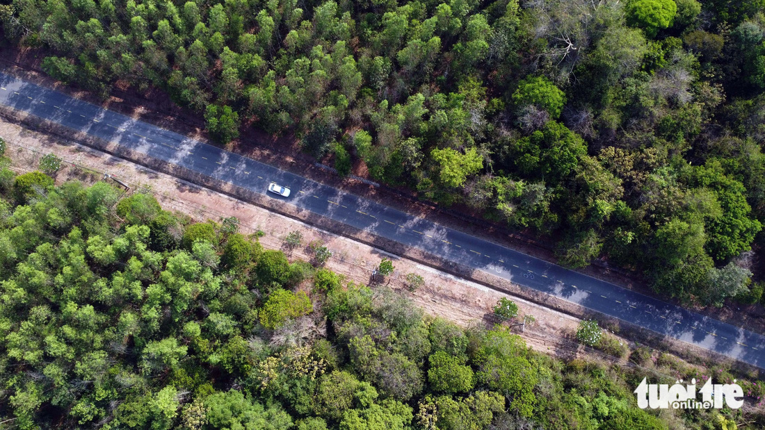 Ngoài du lịch ven hồ, du khách cũng có thể chạy xe xuyên qua cánh rừng bạt ngàn trong Khu bảo tồn thiên nhiên văn hóa Đồng Nai