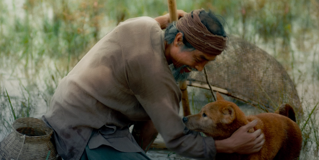 Phim Cậu Vàng công bố hình ảnh đầu tiên của lão Hạc và chú chó - Ảnh 2.