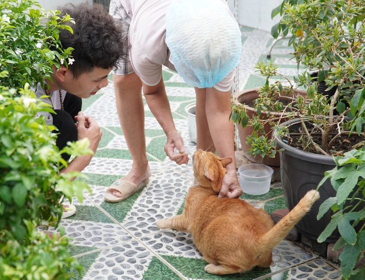 Minh Đức và Lão Bà Bà cùng những chú mèo hoang được nhặt về chăm sóc - Ảnh: NVCC