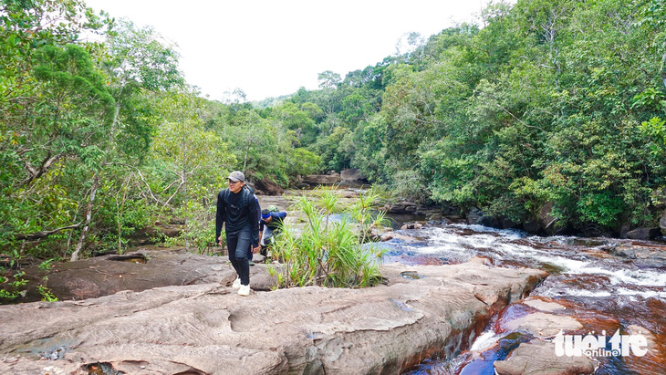 Tour khám phá rừng Phú Quốc đã và đang được nhiều khách du lịch lựa chọn trải nghiệm - Ảnh: CHÍ CÔNG