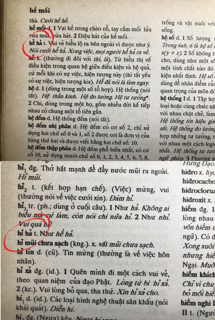 Từ điển tiếng Việt do Hoàng Phê chủ biên, 1998 giải thích về hai từ "hỉ hả" và "hể hả" - Ảnh: ĐẬU DUNG