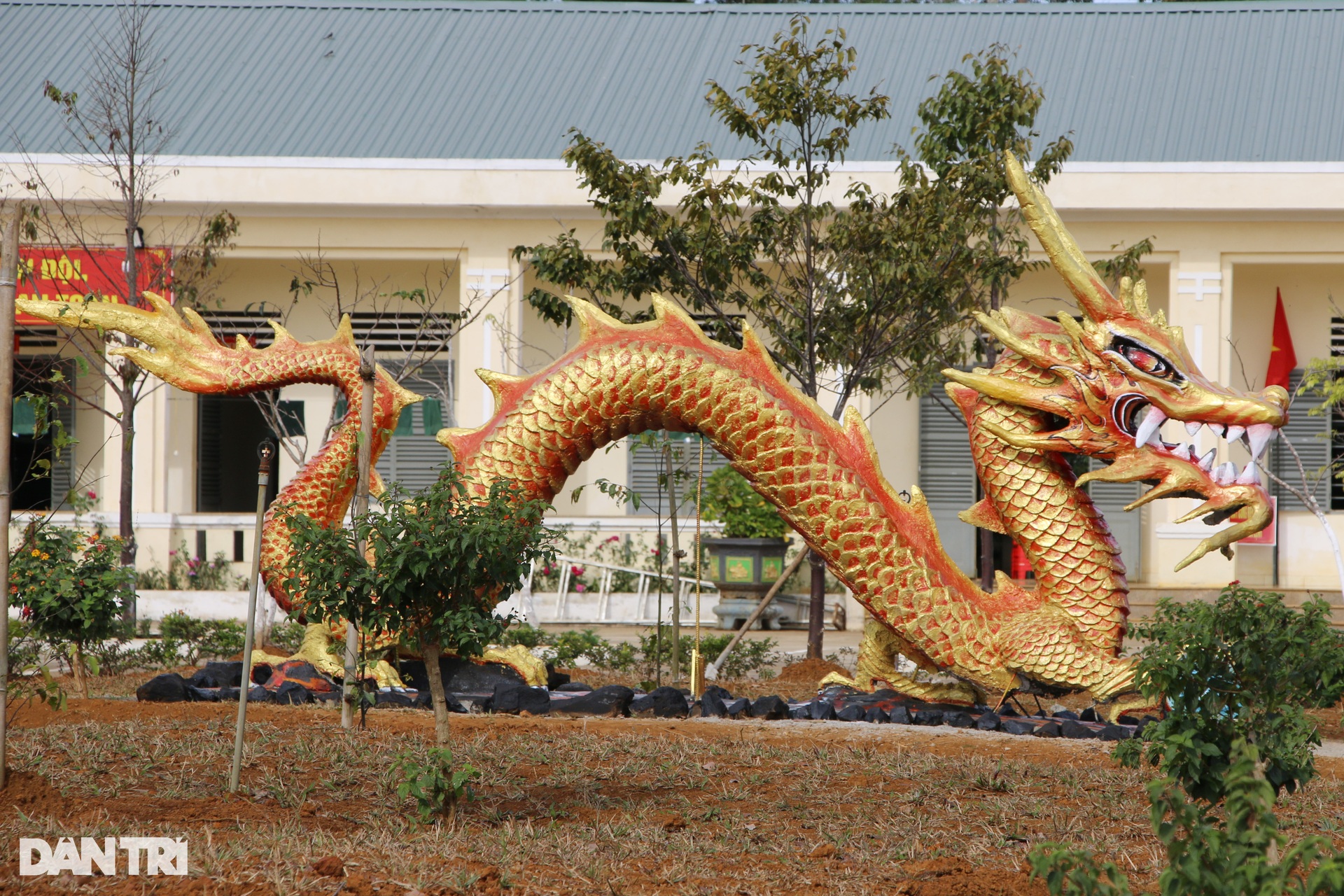 Linh vật rồng gây sốt mạng xã hội ở Đắk Nông - 10