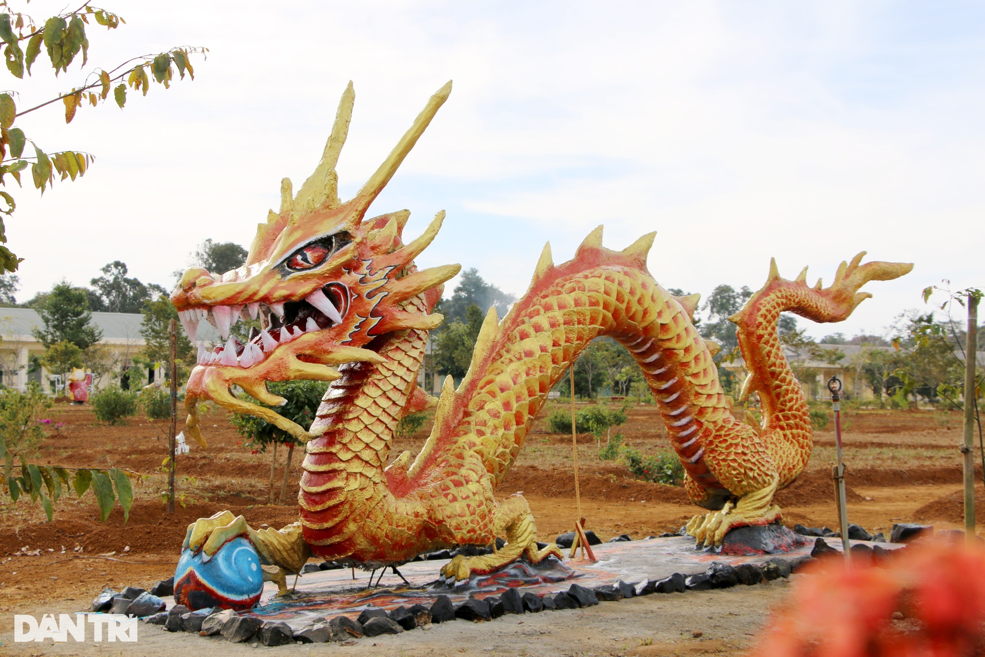 Linh vật rồng gây sốt mạng xã hội ở Đắk Nông - 6