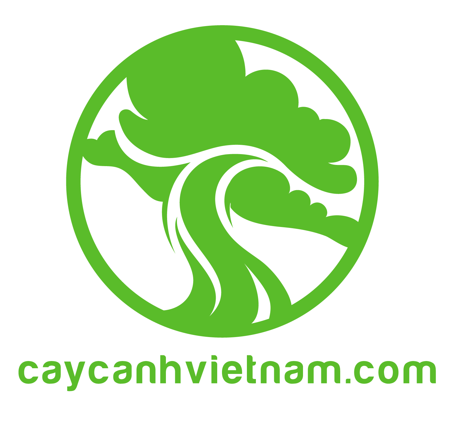 forum.caycanhvietnam.com