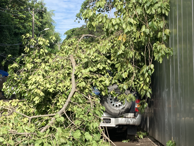Một ôtô bị cành cây gãy, rơi xuống phủ kín sau trận gió lớn chiều 19/7. Ảnh: Phạm Trung