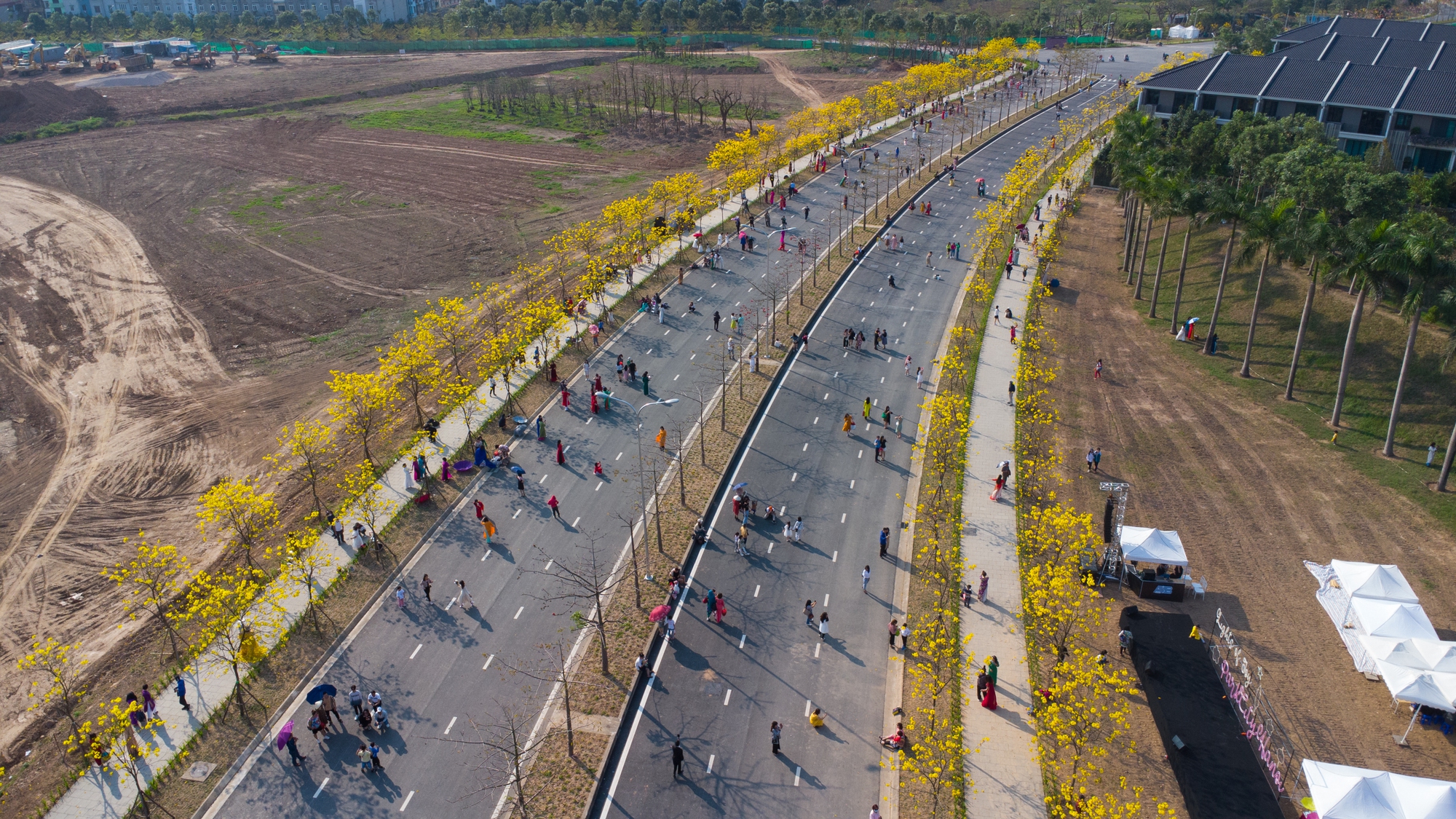 'Biển người' chen chân chụp ảnh tại con đường hoa vàng hot nhất Hà Nội - Ảnh 1.
