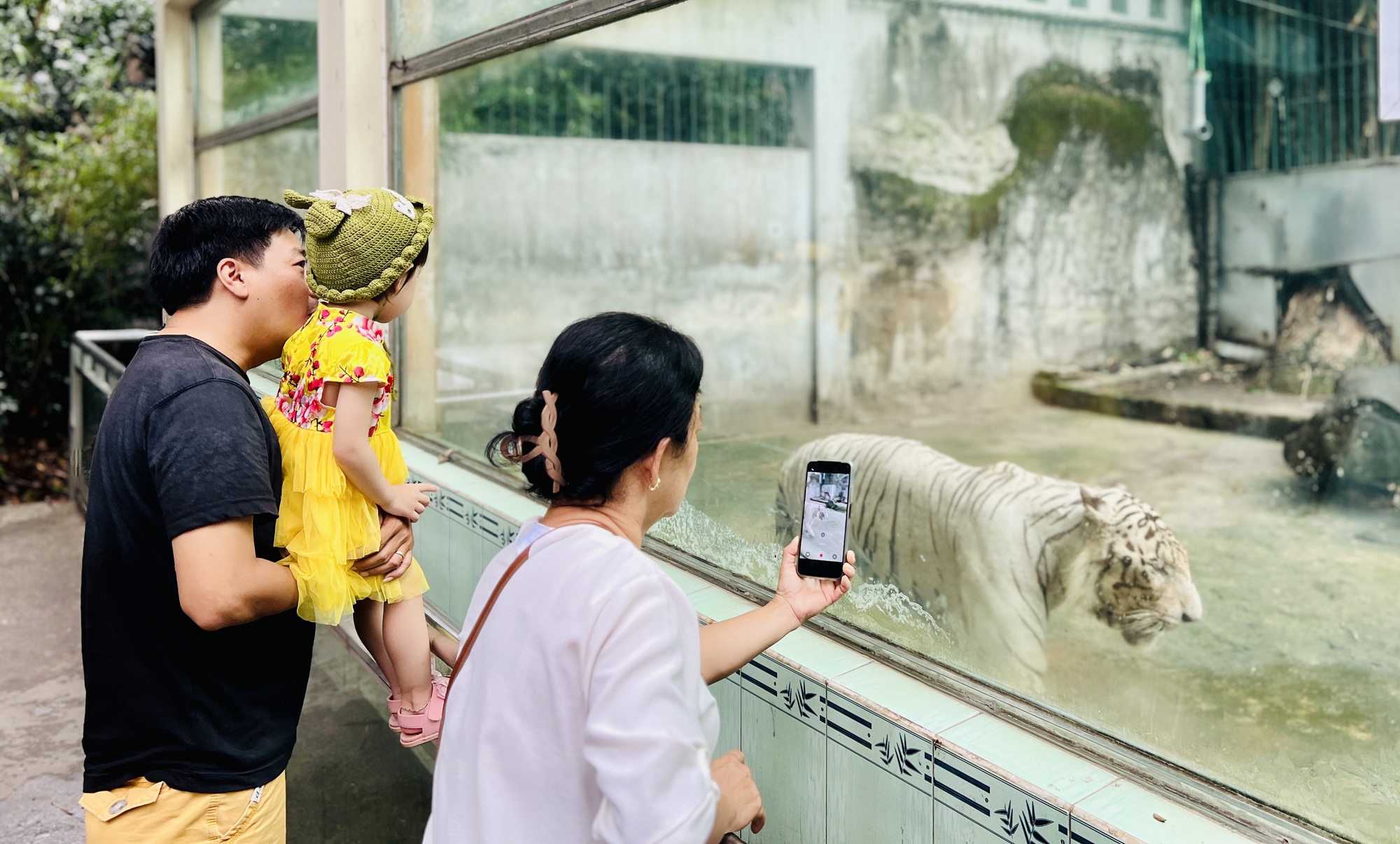 Thảo Cầm Viên làm lễ đầy tháng cho 2 hổ con, đặt tên là Bình – Dương - Ảnh 5.