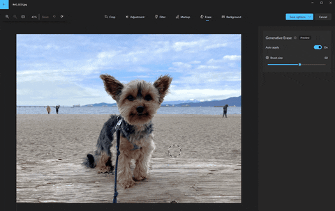 Trí tuệ nhân tạo giúp nâng tầm ứng dụng Windows Photos- Ảnh 2.