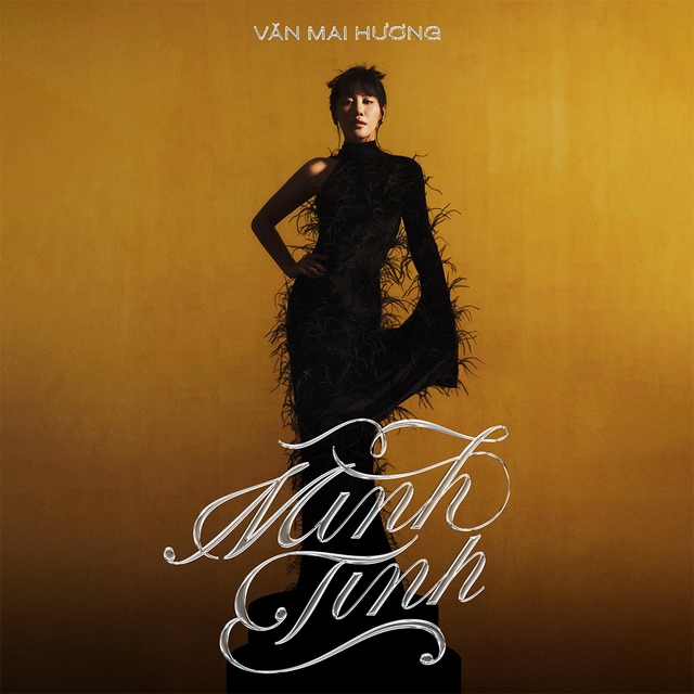 Đa sắc album nhạc Việt - Ảnh 1.