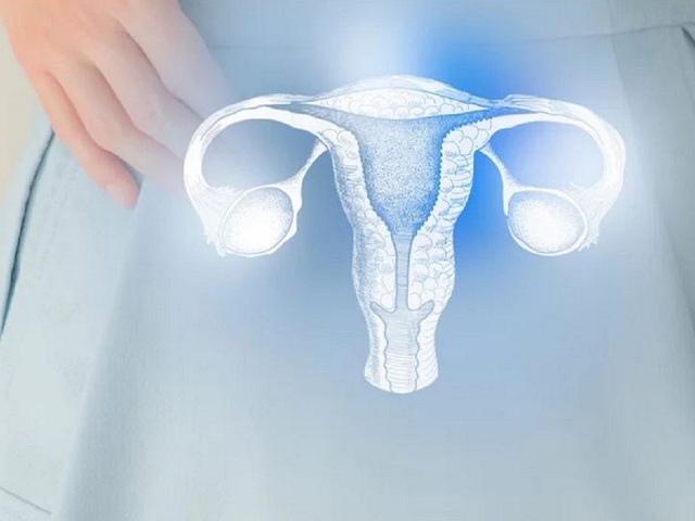Úc: người phụ nữ sinh con bằng chính tử cung đã sinh ra mình - Ảnh 1.