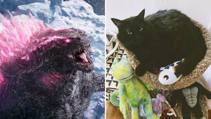Godzilla (trái) và chú mèo Mischief nhà đạo diễn Adam Wingard (phim Godzilla x Kong: Đế chế mới) - Ảnh: Legendary/X