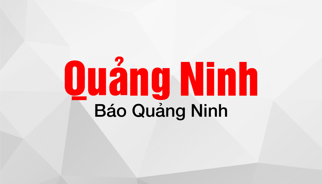 baoquangninh.vn