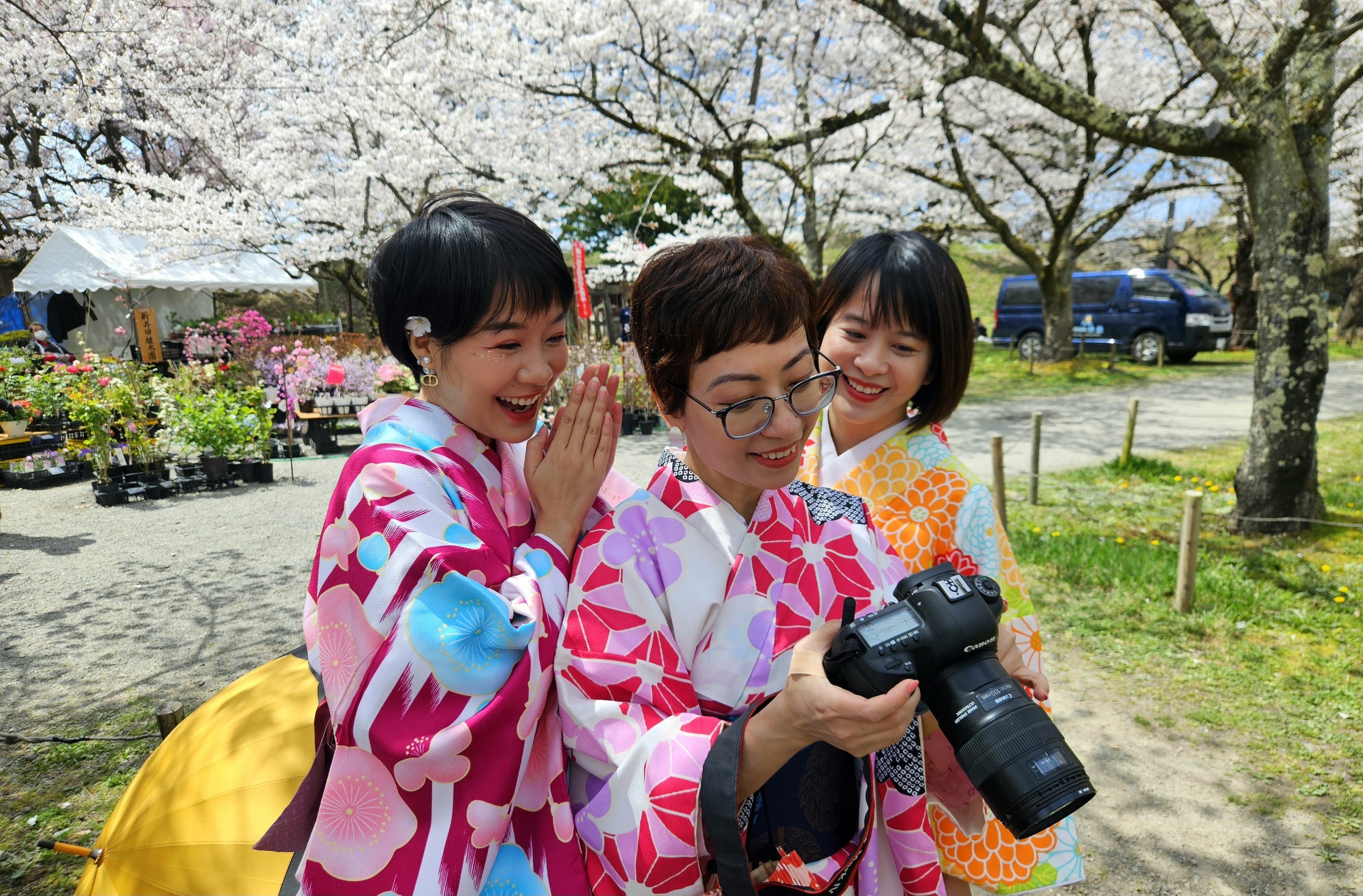 Khách Việt trải nghiệm mặc kimono, ngắm hoa anh đào ở Nhật Bản- Ảnh 3.