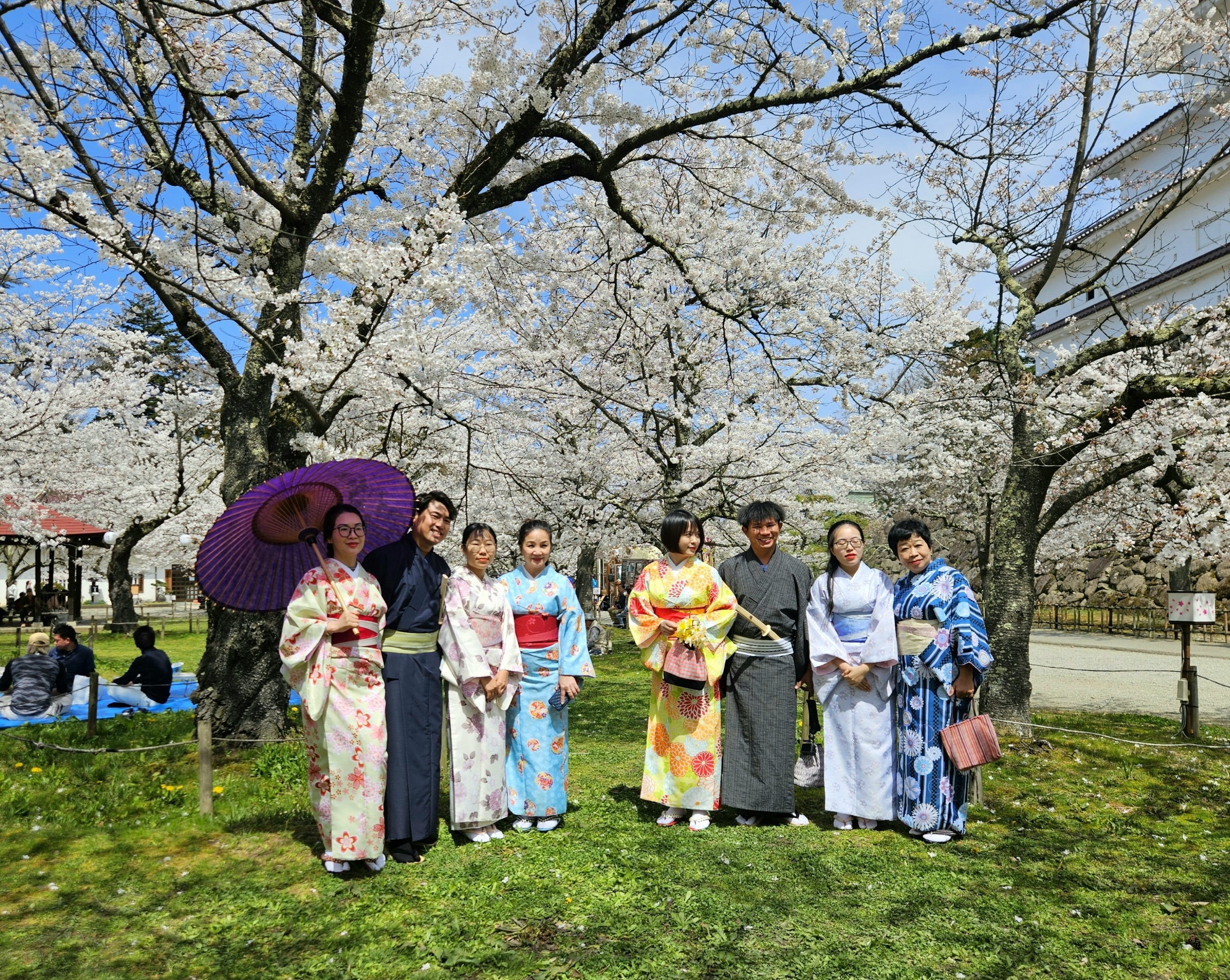 Khách Việt trải nghiệm mặc kimono, ngắm hoa anh đào ở Nhật Bản- Ảnh 8.