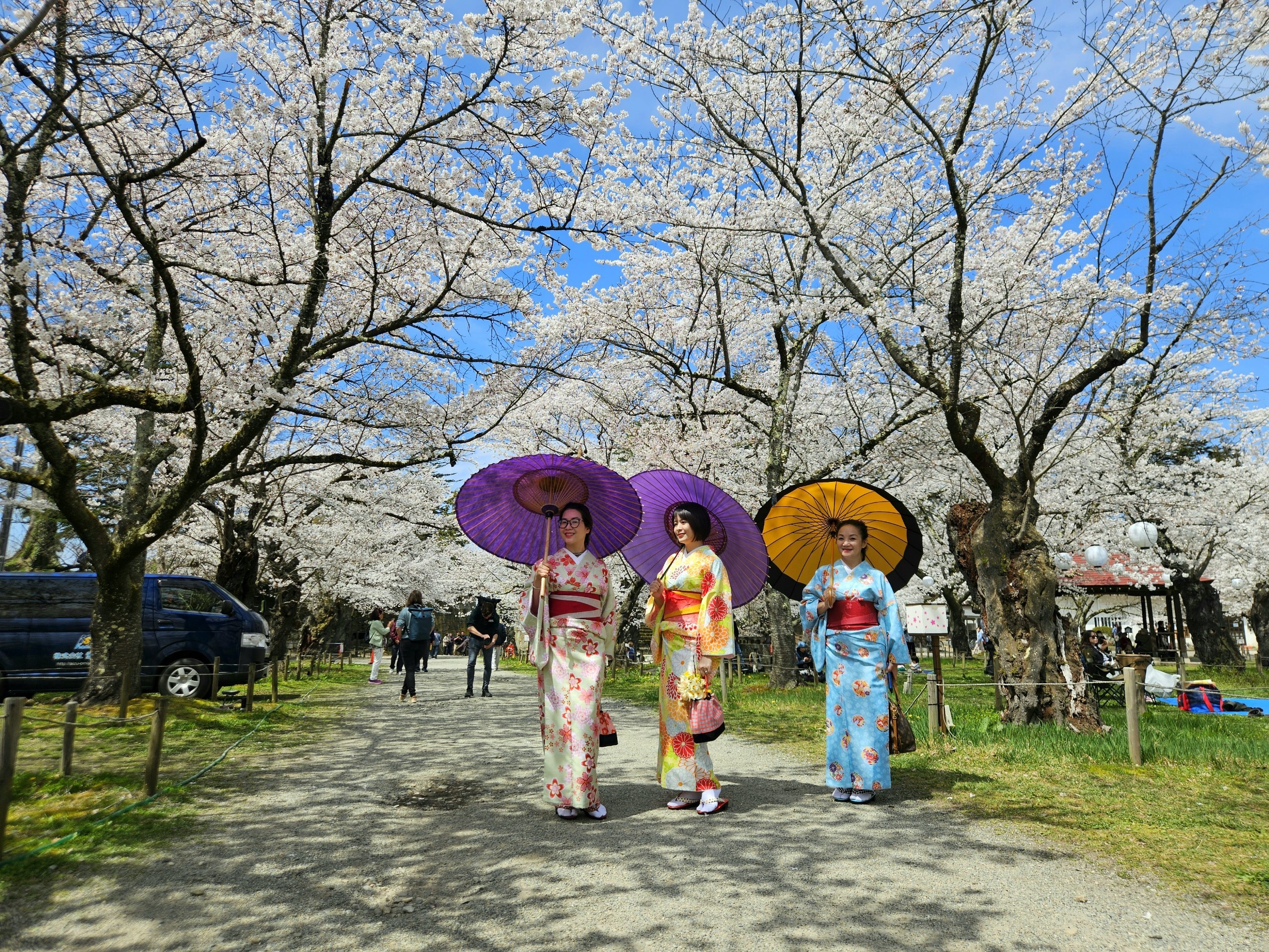 Khách Việt trải nghiệm mặc kimono, ngắm hoa anh đào ở Nhật Bản- Ảnh 5.