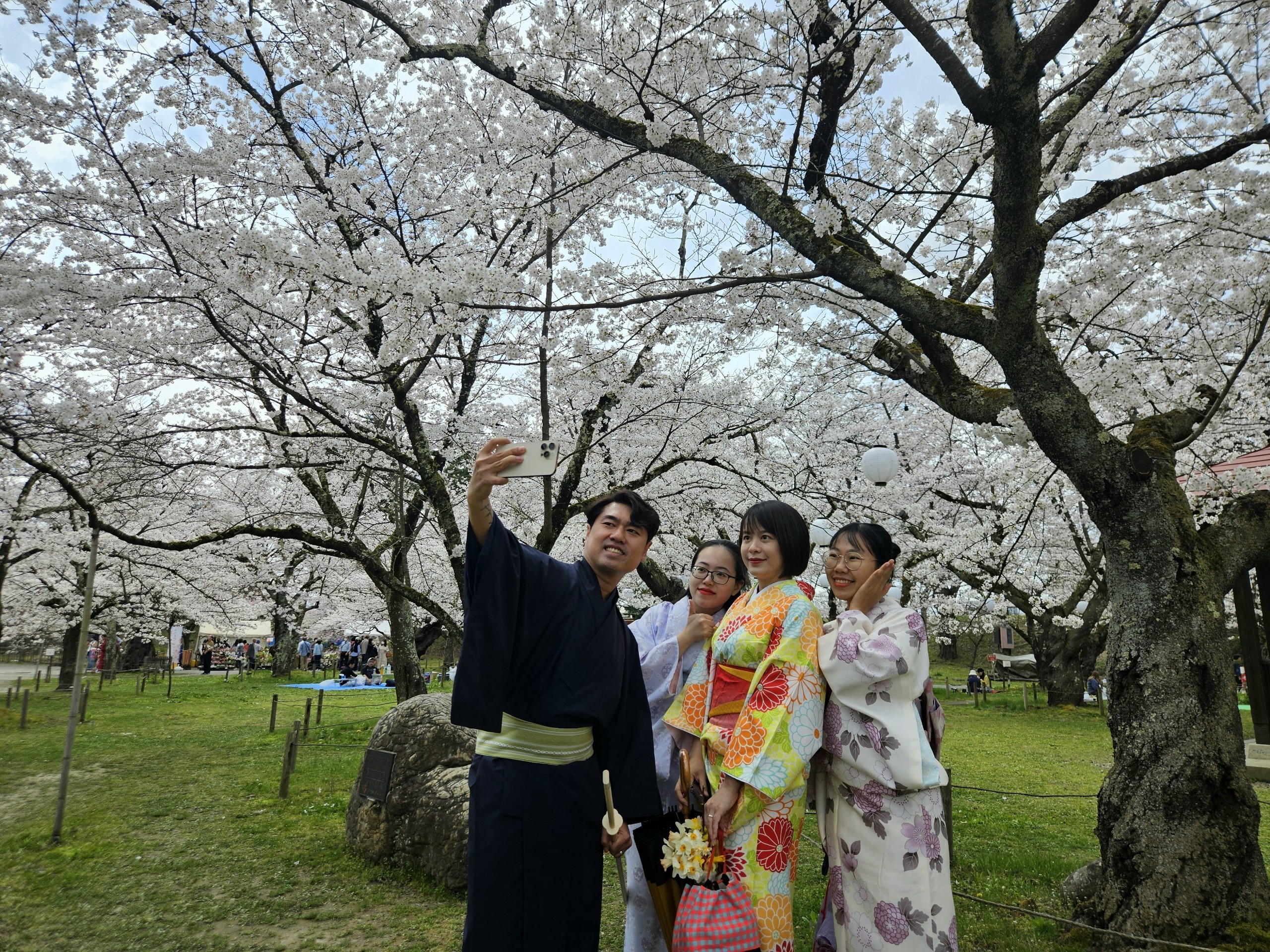 Khách Việt trải nghiệm mặc kimono, ngắm hoa anh đào ở Nhật Bản- Ảnh 7.