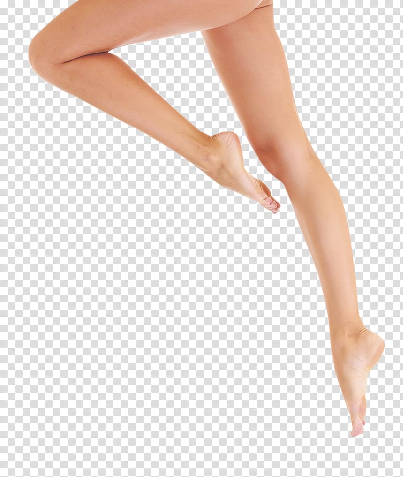 leg-clip-art-women-legs-png-image.jpg
